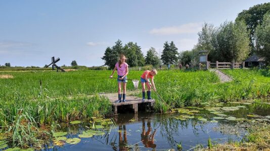 NAMO110838 Laurence Delderfield zomermeisjes waterbeestjes vangen liggend veraf