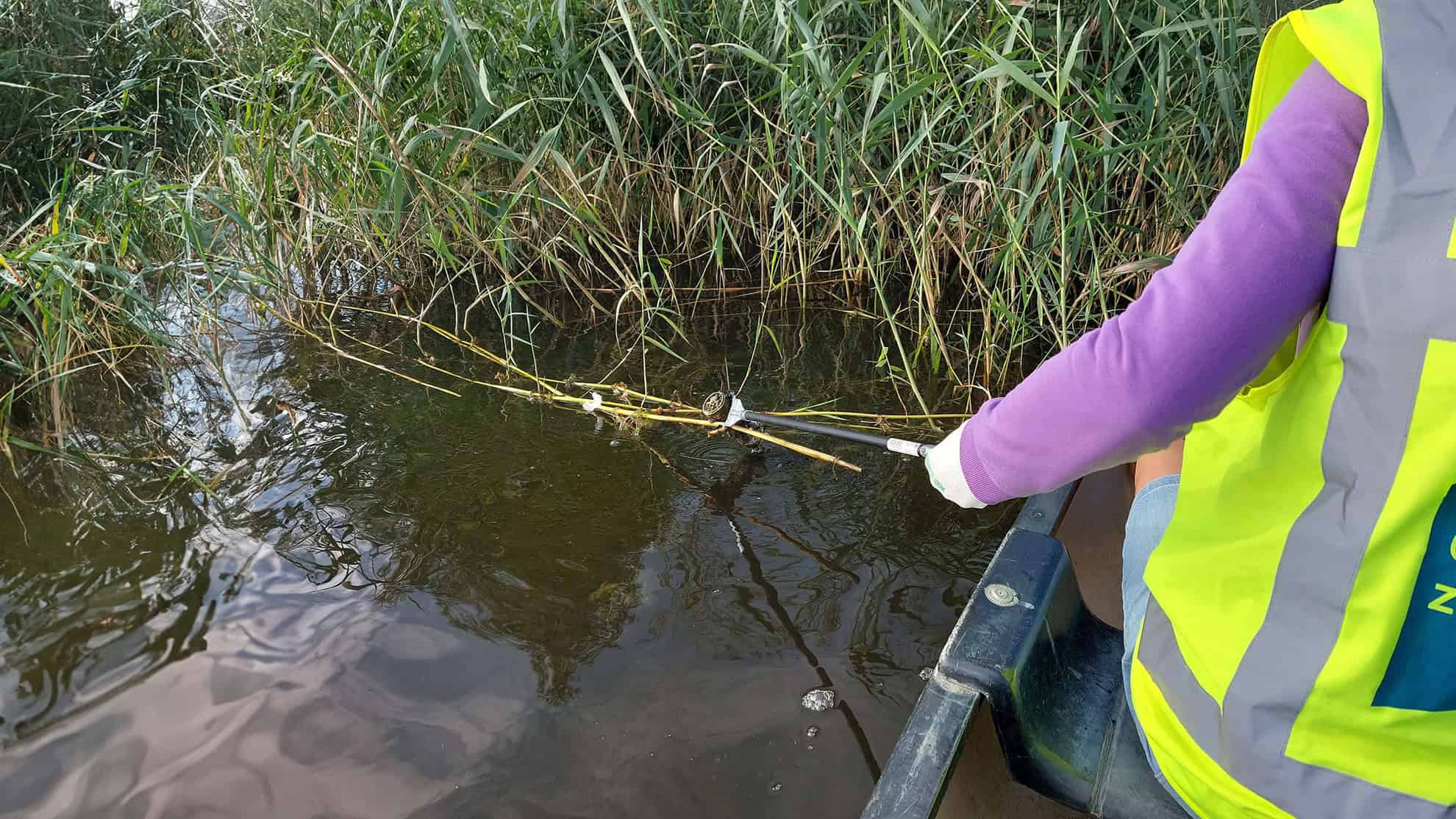 Afval-tussen-het-riet-scaled