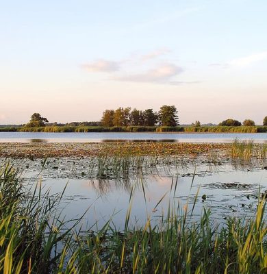 Natuurmonumenten-Erica-Zwanenburg-NMRG23097