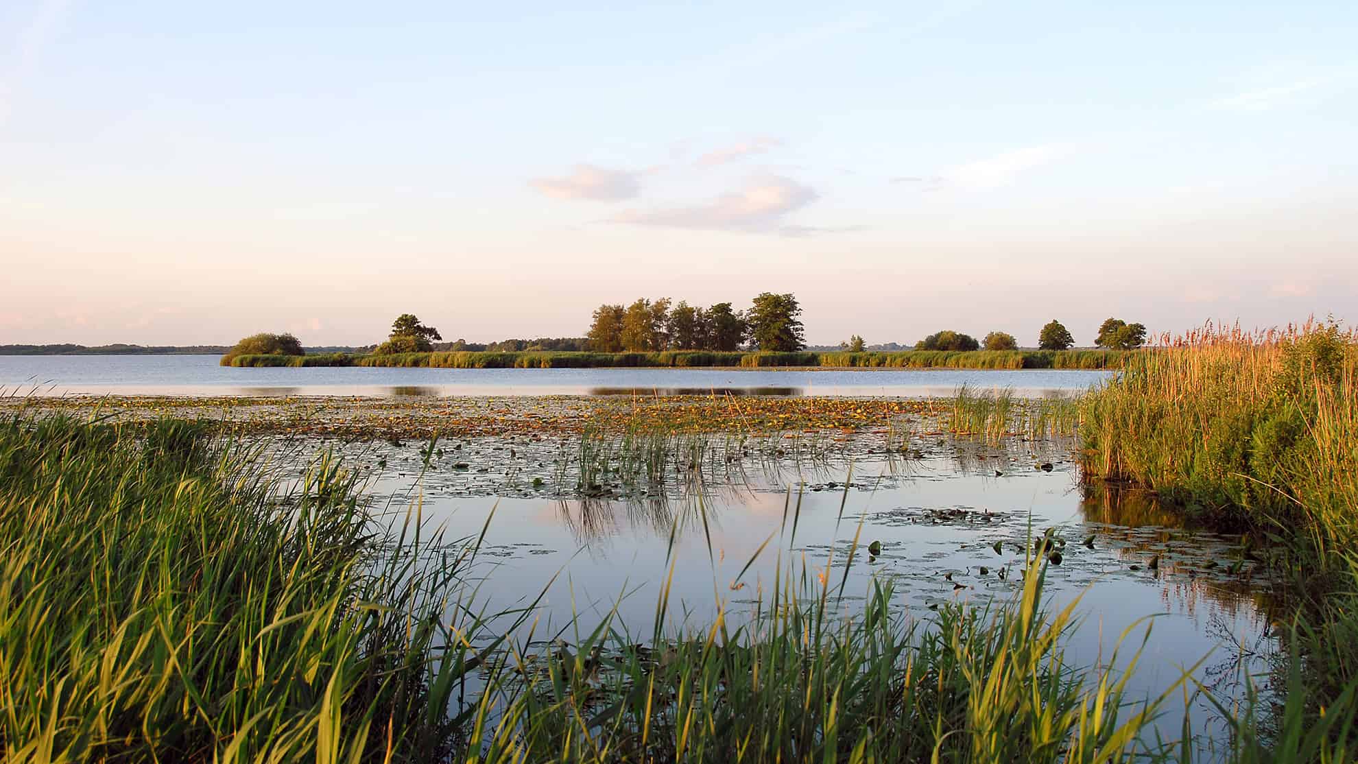 Natuurmonumenten-Erica-Zwanenburg-NMRG23097