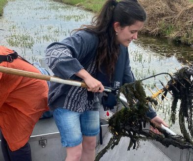 NPWW Exoten uit de sloten harken