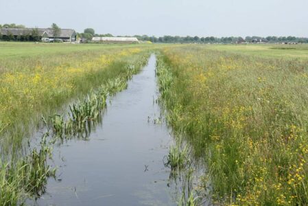 Foto-plasdras1 Foto-plasdras1
