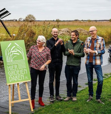 Hier groeien daken. foto Wilbert Bijzitter.