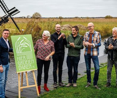 Hier groeien daken. foto Wilbert Bijzitter.