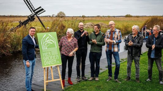 Hier groeien daken. foto Wilbert Bijzitter. Hier groeien daken. foto Wilbert Bijzitter.