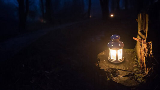 10948-Lichtjeswandeling,-lantaarn@Marjolein-den-Hartog---KISSMYARTS 10948-Lichtjeswandeling,-lantaarn@Marjolein-den-Hartog---KISSMYARTS