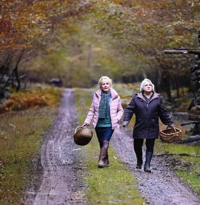 Quand Vient L Automne st