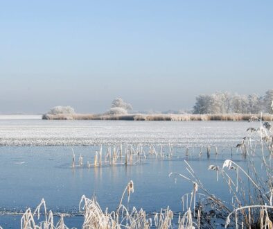 2009 - Winter - De Holken - RM