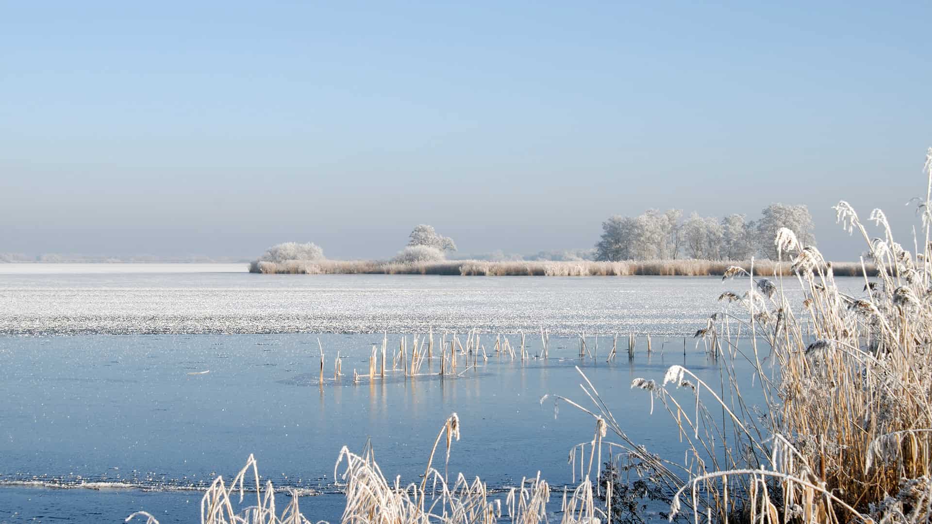 2009 - Winter - De Holken - RM