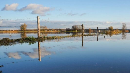 hoogwater-2 (1) hoogwater-2 (1)