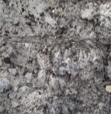 Prehistorische ontdekking rund bij VisscherHolland Steenwijk