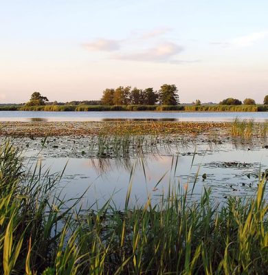 Stilte vaartocht De Wieden