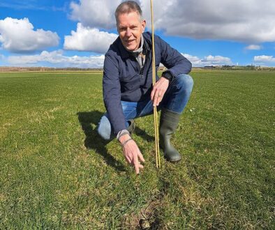 foto: Henk Tulner uit Tuk vindt eerste Overijsselse kievitsei van 2025. fotograaf: Arjen Nieuwenhuis.