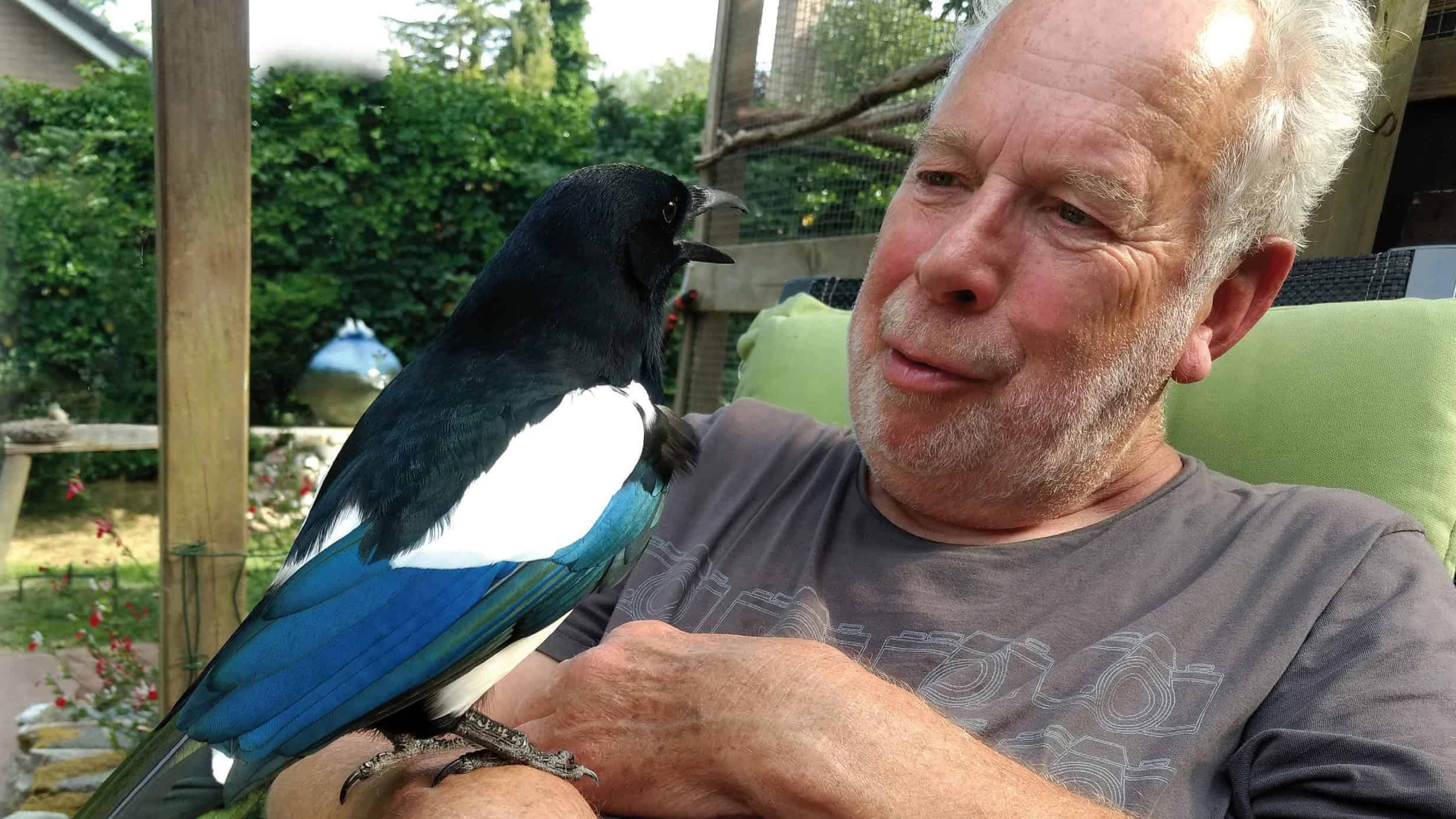 Cover-Mijn-vriend-Juno-door-Philip-Friskorn