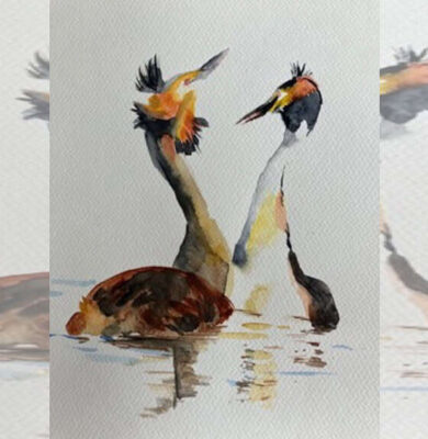 Workshop vogels schilderen