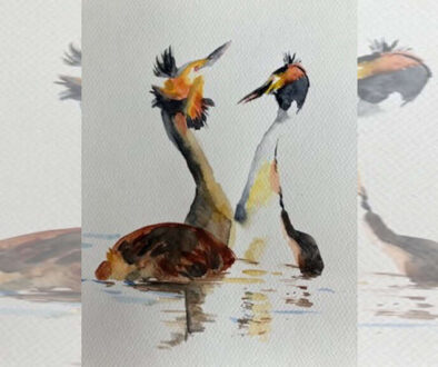 Workshop vogels schilderen