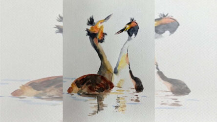 Workshop vogels schilderen
