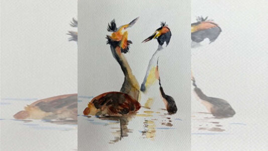 Workshop vogels schilderen