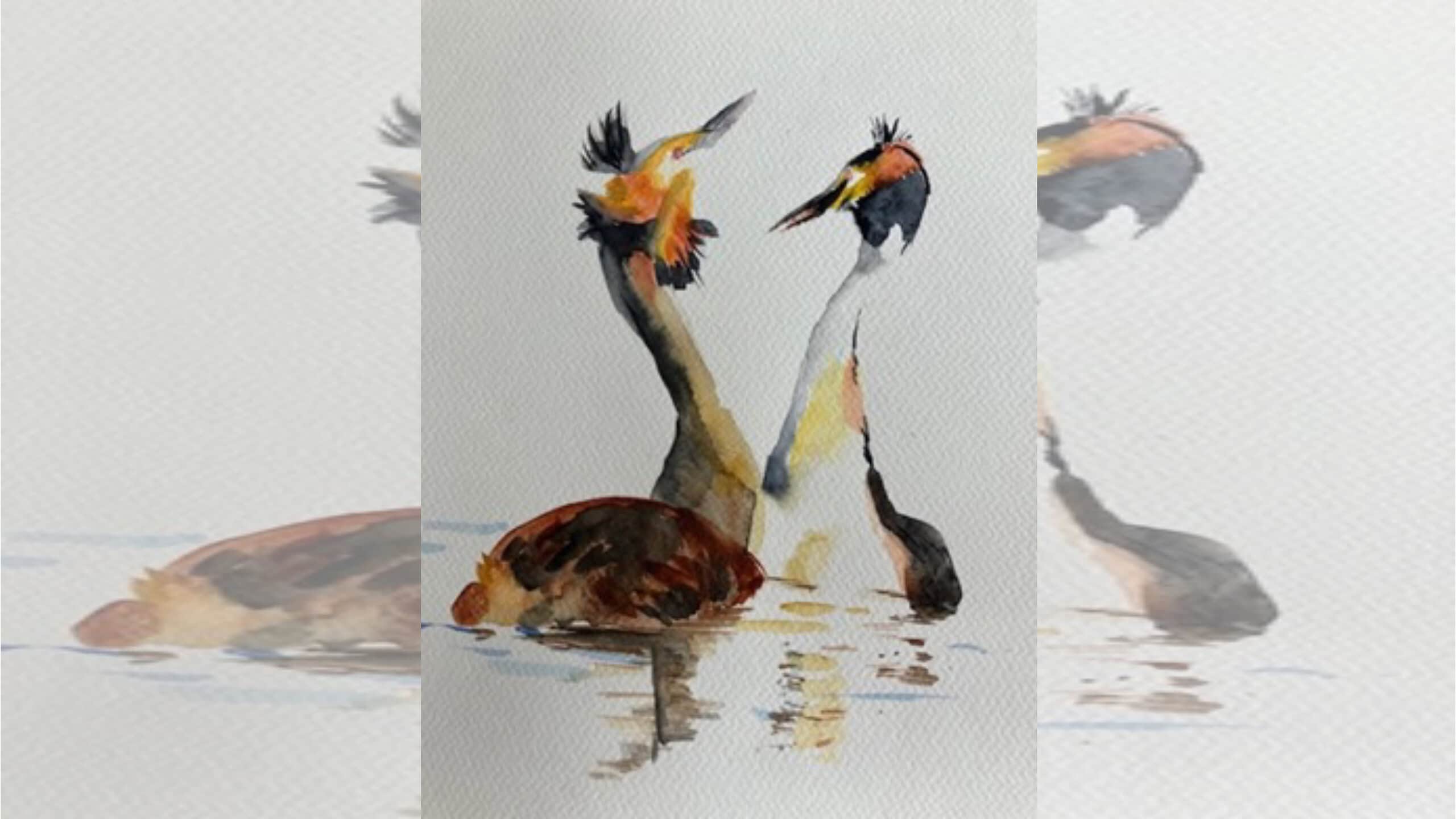 Workshop vogels schilderen