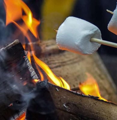marshmallow-7639420_1280