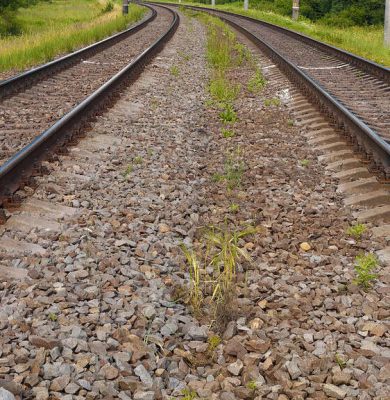 spoor