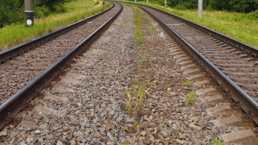 spoor