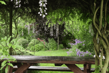 Biodiverse & eetbare tuin