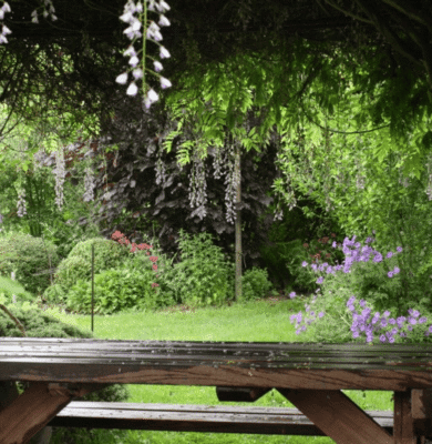 Biodiverse & eetbare tuin
