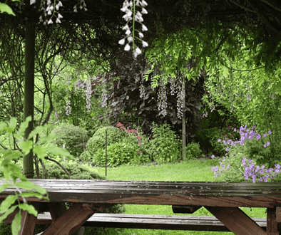 Biodiverse & eetbare tuin