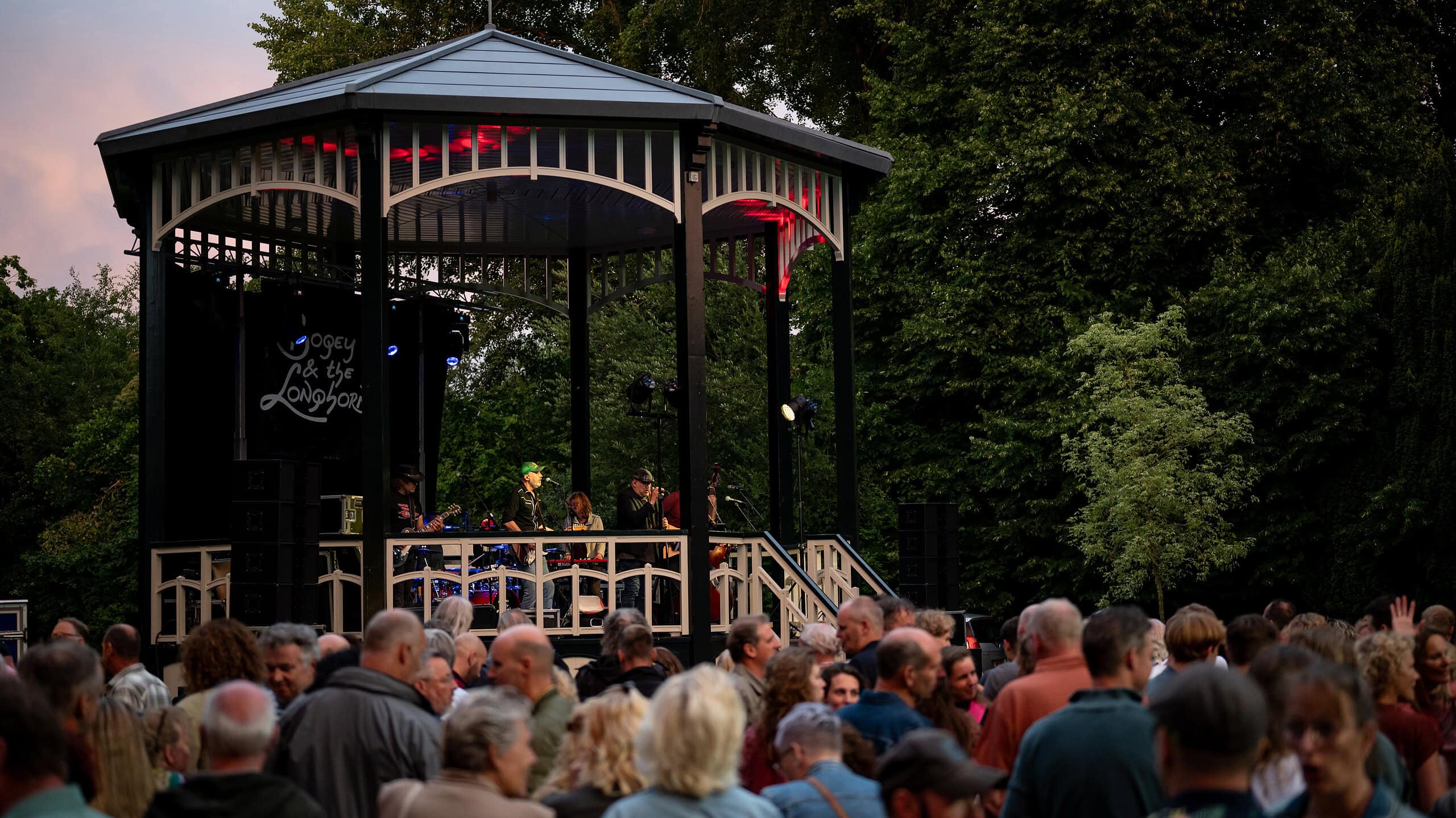 Bogey and the Longhorn - Live at the Park