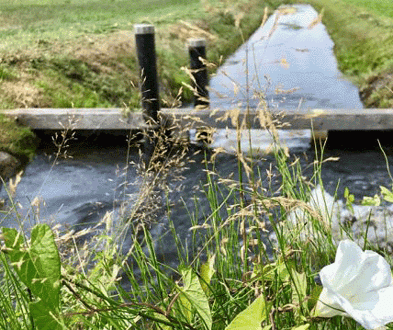 droogtefoto1
