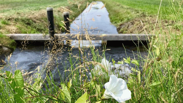 droogtefoto1