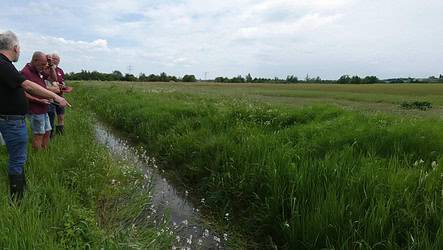 Duurzaam slootbeheer
