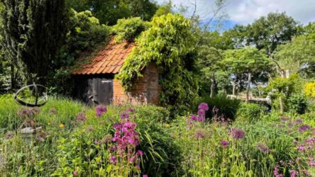 Tuin van Maurice Otten en Jantine Smit aan de Horstweg in Paasloo