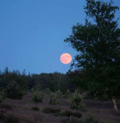 Volle-maan Aekingerzand