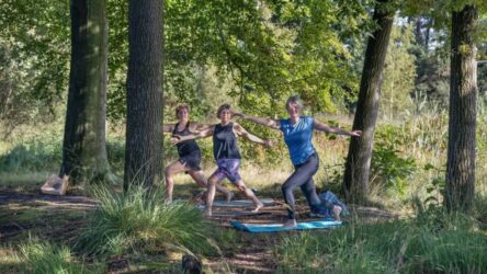 Yoga-in-het-wold-Auke-Spijker