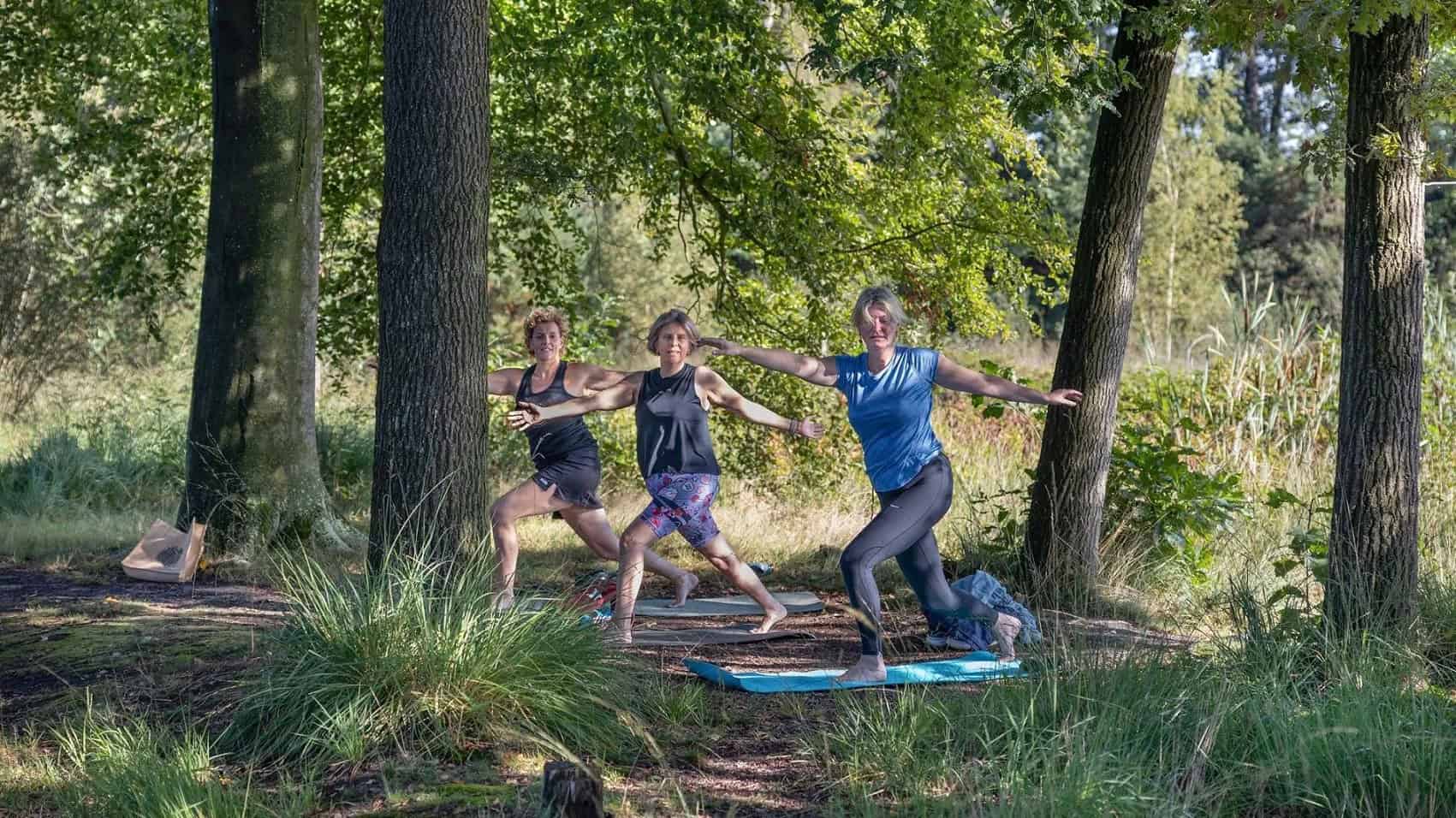 Yoga-in-het-wold-Auke-Spijker