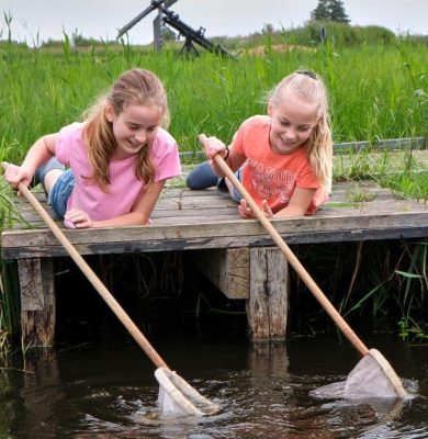 Natuurmonumenten-Waterbeestjes zoeken - foto Laurence Delderfield
