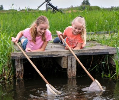 Natuurmonumenten-Waterbeestjes zoeken - foto Laurence Delderfield