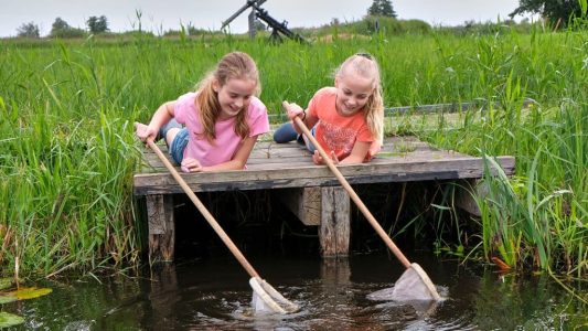 Natuurmonumenten-Waterbeestjes zoeken - foto Laurence Delderfield