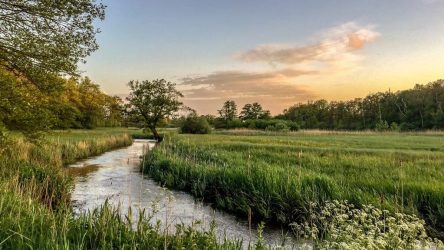 Oudemolensche Diep - foto T. Manak