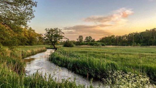 Oudemolensche Diep - foto T. Manak