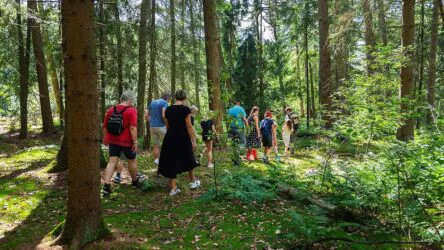 Wild op Woensdag - foto LauraCsonka