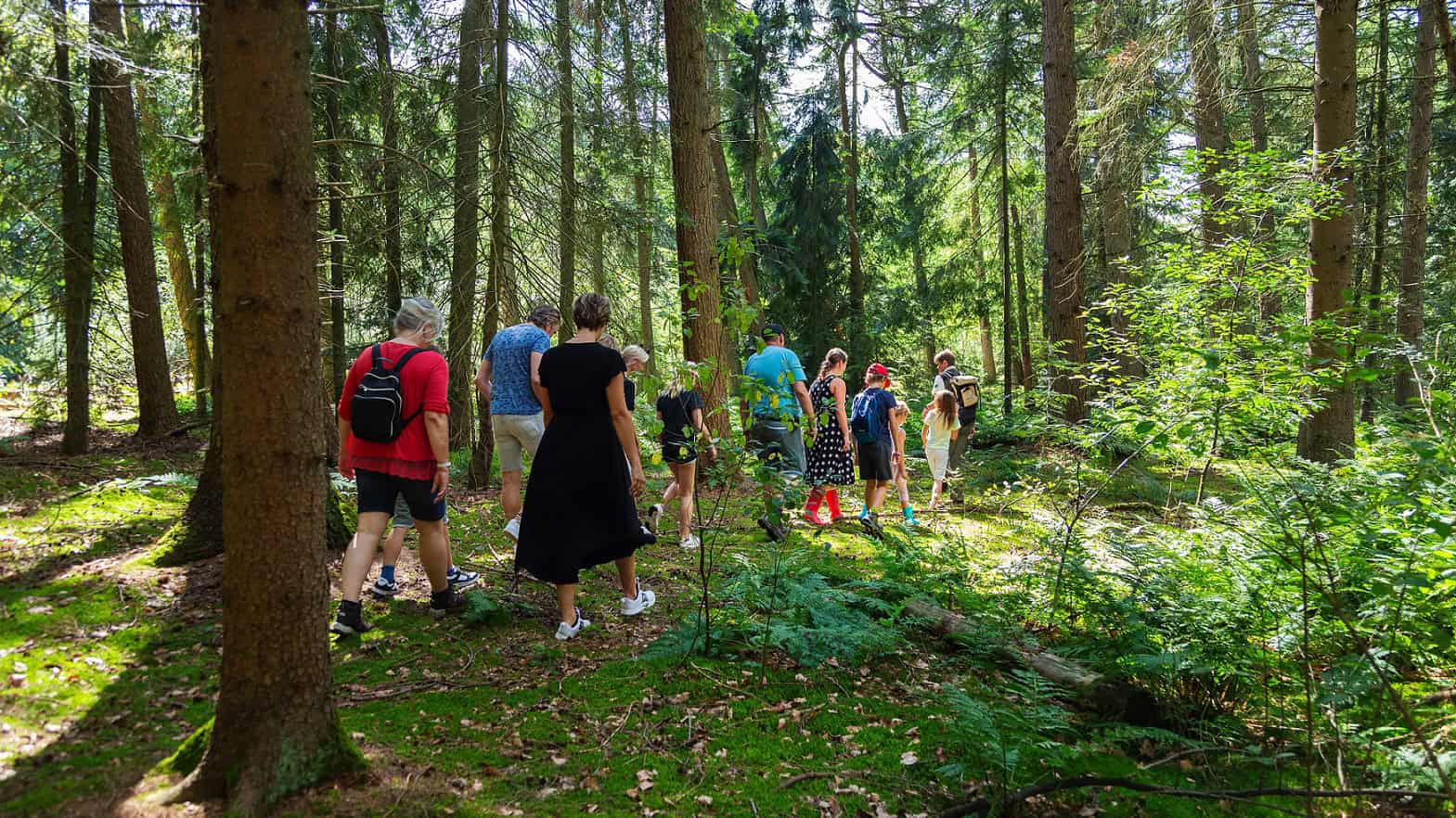 Wild op Woensdag - foto LauraCsonka