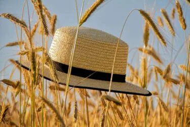 zomer