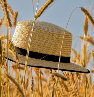 zomer