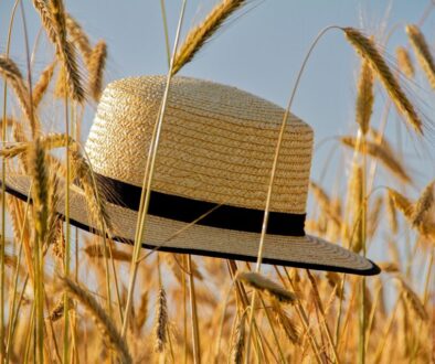 zomer