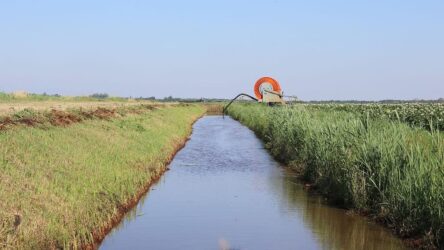 Beregenen uit de sloot WDODelta-gebied foto aangeleverd