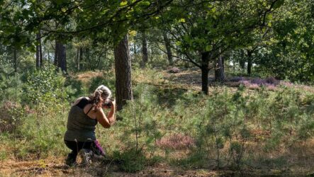 Workshop Fotografie Femke Banga - foto aangeleverd