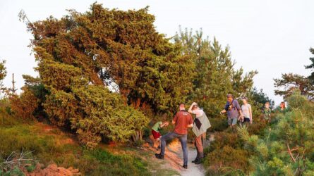 Zomeravondwandeling Aekingerzand - foto Laura Csonka